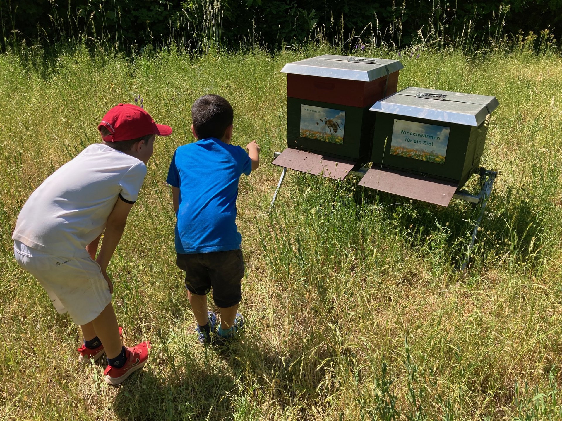 Bienen_Laborschule_2022