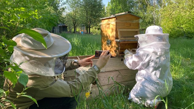 Bienen_Laborschule_2022